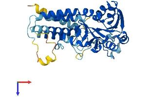 AlphaFold protein structure predicition of Mouse Recombinant Eif2b2 Protein, UniprotID Q99LD9