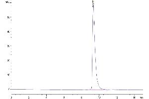 The purity of Mouse IGFBP2 is greater than 95 % as determined by SEC-HPLC.