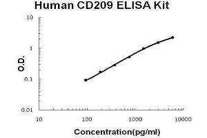 Human  CD209 PicoKine ELISA Kit standard curve (DC-SIGN/CD209 Kit ELISA)