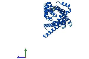 AlphaFold protein structure predicition of Human Recombinant SLC25A42 Protein, UniprotID Q86VD7