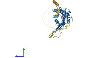 AlphaFold protein structure predicition of Human Recombinant AVPR1A Protein, UniprotID P37288