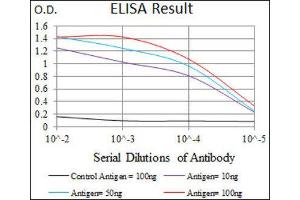 ELISA image for anti-phosphodiesterase 1B, Calmodulin-Dependent (PDE1B) (AA 370-536) antibody (ABIN1845413) (PDE1B anticorps  (AA 370-536))