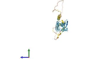 AlphaFold protein structure predicition of Human Recombinant TMUB1 Protein, UniprotID Q9BVT8