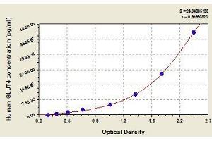 Typical standard curve (GLUT4 Kit ELISA)