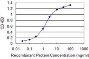 Detection limit for recombinant GST tagged SOX15 is 0. (SOX15 anticorps  (AA 1-233))