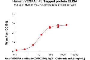 ELISA plate pre-coated by 2 μg/mL (100 μL/well) Human VEGFA Protein, hFc Tag(ABIN6964343, ABIN7272548 and ABIN7272549) can bind Anti-VEGFA antibody, IgG1 Chimeric mAb in a linear range of 3.