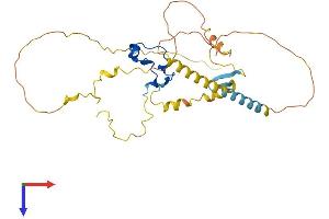 AlphaFold protein structure predicition of Mouse Recombinant Cxxc5 Protein, UniprotID Q91WA4