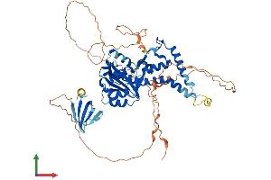 AlphaFold protein structure predicition of Mouse Recombinant Exd1 Protein, UniprotID Q8CDF7
