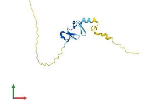 AlphaFold protein structure predicition of Human Recombinant LIMD2 Protein, UniprotID Q9BT23