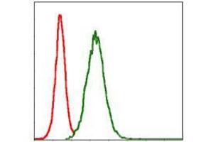 Flow cytometric analysis of NIH/3T3 cells using MMP3 mouse mAb (green) and negative control (red).