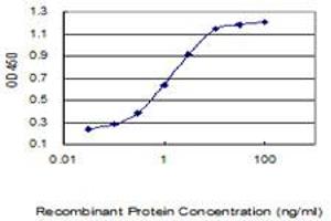 Detection limit for recombinant GST tagged TMEM176A is 0. (TMEM176A anticorps  (AA 1-235))
