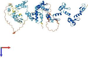 AlphaFold protein structure predicition of Human Recombinant ZNF540 Protein, UniprotID Q8NDQ6