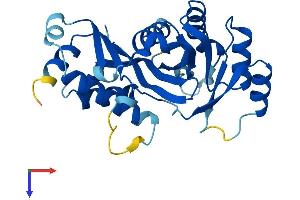 AlphaFold protein structure predicition of Human Recombinant GCLM Protein, UniprotID P48507