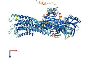 AlphaFold protein structure predicition of Mouse Recombinant Atp8a1 Protein, UniprotID P70704