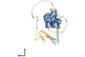 AlphaFold protein structure predicition of Human Recombinant PDE1C Protein, UniprotID Q14123