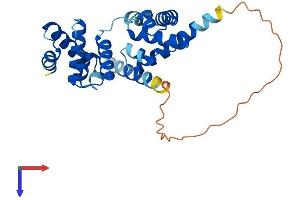 AlphaFold protein structure predicition of Mouse Recombinant Orc6 Protein, UniprotID Q9WUJ8