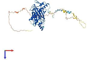 AlphaFold protein structure predicition of Human Recombinant EXOSC9 Protein, UniprotID Q06265