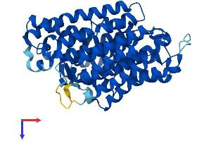 AlphaFold protein structure predicition of Human Recombinant MT-ND4 Protein, UniprotID P03905