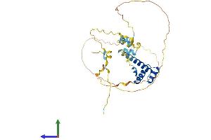 AlphaFold protein structure predicition of Human Recombinant BARHL1 Protein, UniprotID Q9BZE3