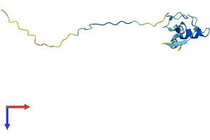 AlphaFold protein structure predicition of Mouse Recombinant Rbx1 Protein, UniprotID P62878