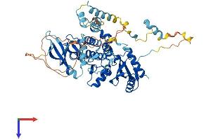 AlphaFold protein structure predicition of Mouse Recombinant Prkaa1 Protein, UniprotID Q5EG47