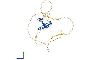 AlphaFold protein structure predicition of Mouse Recombinant Mef2b Protein, UniprotID O55087