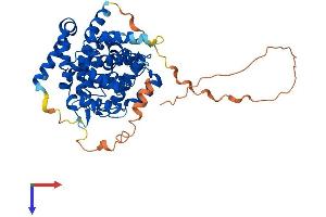 AlphaFold protein structure predicition of Mouse Recombinant Tbc1d10c Protein, UniprotID Q8C9V1
