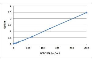 BPDE-BSA Standard Curve.