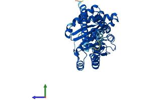 AlphaFold protein structure predicition of Human Recombinant DHDDS Protein, UniprotID Q86SQ9