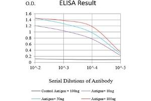 Black line: Control Antigen (100 ng),Purple line: Antigen (10 ng), Blue line: Antigen (50 ng), Red line:Antigen (100 ng) (MYLK anticorps  (AA 1375-1524))