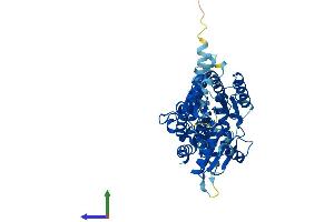 AlphaFold protein structure predicition of Mouse Recombinant Alg11 Protein, UniprotID Q3TZM9