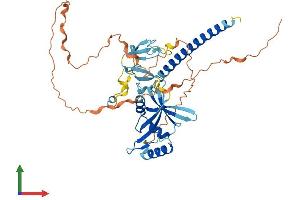 AlphaFold protein structure predicition of Human Recombinant RASSF5 Protein, UniprotID Q8WWW0