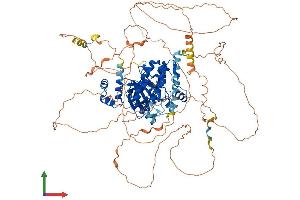 AlphaFold protein structure predicition of Human Recombinant SIK2 Protein, UniprotID Q9H0K1