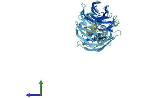 AlphaFold protein structure predicition of Human Recombinant SMU1 Protein, UniprotID Q2TAY7