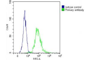 Overlay histogram showing  cells stained with (ABIN6244007 and ABIN6578809)(green line).