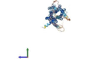AlphaFold protein structure predicition of Mouse Recombinant Htr1a Protein, UniprotID Q64264