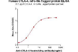 ELISA plate pre-coated by 2 μg/mL (100 μL/well) Human CTLA-4, mFc-His tagged protein (ABIN6961090) can bind Anti-CTLA-4 Neutralizing antibody in a linear range of 0.