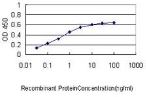 Detection limit for recombinant GST tagged APBB2 is approximately 0.