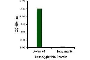 ELISA image for anti-Hemagglutinin antibody (Influenza A Virus H5N1) (Center) (ABIN2457870) (Hemagglutinin anticorps  (Center))