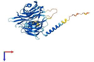 AlphaFold protein structure predicition of Mouse Recombinant Kptn Protein, UniprotID Q8VCX6