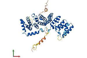 AlphaFold protein structure predicition of Human Recombinant PTCD2 Protein, UniprotID Q8WV60