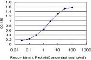 Detection limit for recombinant GST tagged NFYB is approximately 0.
