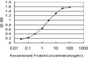 Detection limit for recombinant GST tagged NFYB is approximately 0. (NFYB anticorps  (AA 1-207))