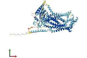 AlphaFold protein structure predicition of Mouse Recombinant Ano7 Protein, UniprotID Q14AT5