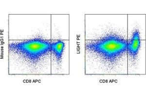 Image no. 1 for anti-Tumor Necrosis Factor (Ligand) Superfamily, Member 14 (TNFSF14) antibody (PE) (ABIN473623)