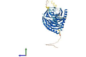 AlphaFold protein structure predicition of Mouse Recombinant Prpf4 Protein, UniprotID Q9DAW6