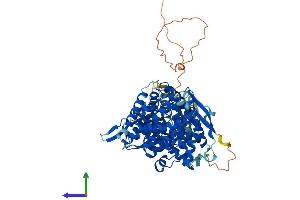 AlphaFold protein structure predicition of Human Recombinant ASTE1 Protein, UniprotID Q2TB18