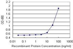 Sandwich ELISA detection sensitivity ranging from 10 ng/mL to 100 ng/mL. (TAGLN (Humain) Matched Antibody Pair)