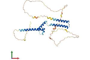 AlphaFold protein structure predicition of Human Recombinant HEY2 Protein, UniprotID Q9UBP5
