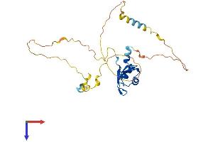 AlphaFold protein structure predicition of Human Recombinant PABPN1L Protein, UniprotID A6NDY0